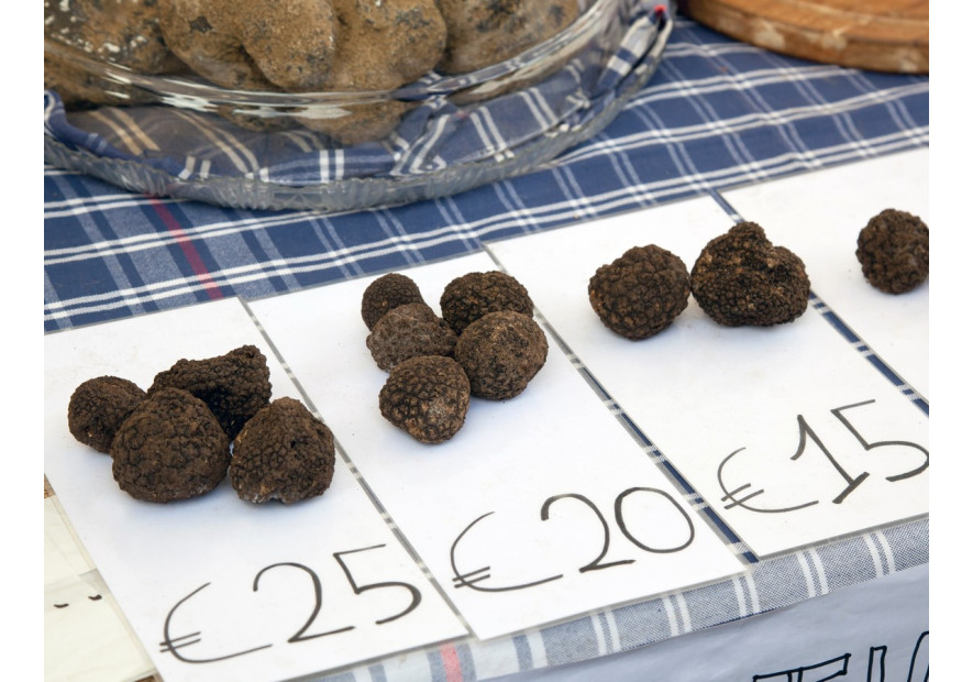 Alba w październiku: biała trufla, festiwal i wina Barolo